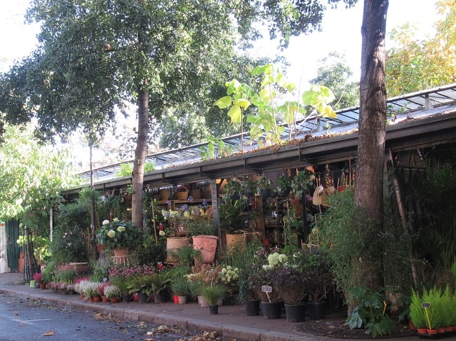 Flâneries in Paris: Explore the Cité Quarter